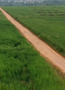 Dry for 3-10 days and open to traffic after drying thoroughly